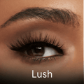 Celashe™ Reusable magnetic eyelash - Celashe